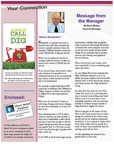 Newsletter Summer 2008 cover